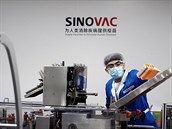 Výroba vakcíny firmy Sinovac proti covidu-19.