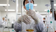 Čínská firma Sinovac po druhé fázi testů tvrdí, že je její vakcína účinná