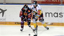 Utkání 22. kola hokejové extraligy: HC Sparta Praha - HC Verva Litvínov, 29....