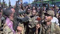 Vojáci poblíž etiopských regionů Tigraj a Amhara. Snímek je pořízen z videa,...