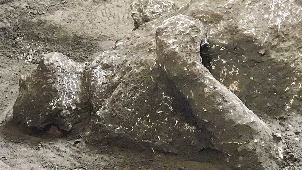 Odborníci v Pompejích odkryli poz�statky dvou mu�� v popelu.