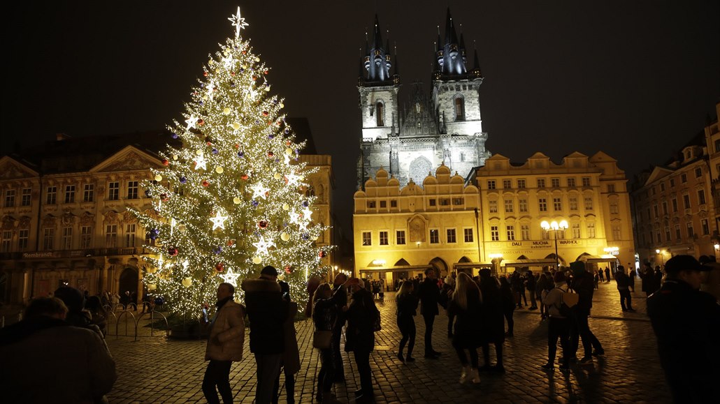 Nový vánoční strom na Staroměstském náměstí v Praze