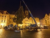 VIDEO: Na pražském Staroměstském náměstí už stojí vánoční strom, poprvé se rozsvítí o víkendu