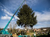 Na Staroměstském náměstí stojí vánoční strom, Nevada potvrdí výsledek prezidentské volby