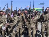 Vojáci tancují a jásají na silnici poblí hranic etiopských region Tigraj a...