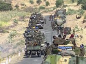 Etiopská armáda varuje civilisty ped plánovaným postupem na msto Mekele,...
