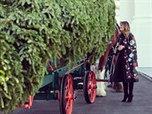 První dáma Melanie Trumpová s Donladem Trumpem vítají vánoní strom ped Bílým...
