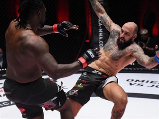 esk MMA zpasnk Michal Martnek v souboji s Amerianem Danielem Jamesem