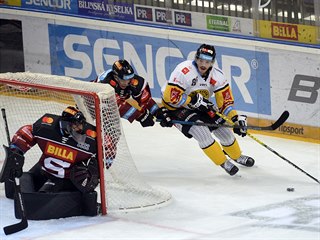 Utkn 22. kola hokejov extraligy: HC Sparta Praha - HC Verva Litvnov, 29....