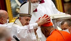 Pape Frantiek ve Vatiknu jmenoval 13 novch kardinl. Poprv se jm stal Afroamerian