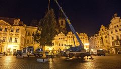 VIDEO: Na pražském Staroměstském náměstí už stojí vánoční strom, poprvé se rozsvítí o víkendu