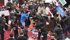 VIDEO: Rozbroje kvli americkmu vepovmu. V tchajwanskm parlamentu ltaly psti a prase vnitnosti