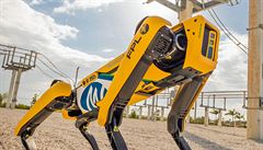 Společnost Boston Dynamics vyvíjí roboty, jež napodobují lidské a zvířecí... | na serveru Lidovky.cz | aktuální zprávy