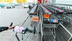 Očíslované vozíky před supermarketem. | na serveru Lidovky.cz | aktuální zprávy