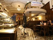 Více ne� 20 restaurací v Teplicích  se zapojilo k protestu proti vládním...