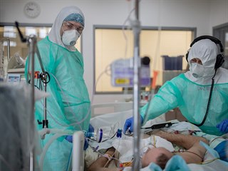 Na snmku Jan Berouek (vpravo) vyetuje pacienta s covidem-19.