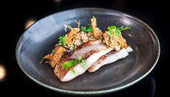 ilustra�ní snímek