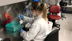 Vývoj vakcíny proti koronaviru v laborato�ích firmy Pfizer.