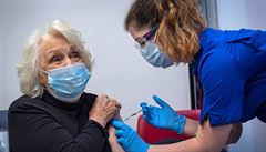 Praha žádá od státu 7000 vakcín pro seniory v domovech důchodců, vytvoří mobilní očkovací týmy