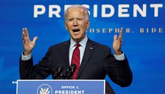 Budoucí americký prezident Joe Biden | na serveru Lidovky.cz | aktuální zprávy