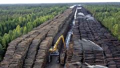 Čína je největším odběratelem ruského dřeva ze Sibiře. | na serveru Lidovky.cz | aktuální zprávy