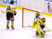 Utkání 27. kola hokejové extraligy: HC Vítkovice Ridera - HC Verva Litvínov,...