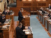 Premiér Andrej Babi (ANO) hovoí na schzi Senátu 10. prosince 2020 v Praze.