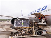 Vakcína do USA míí i z Bruselu, transport zajiují United Airlines.