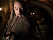 Ian McKellen jako Gandalf edý
