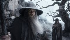 Ian McKellen jako Gandalf | na serveru Lidovky.cz | aktuální zprávy