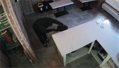 VIDEO: Pbramskou pizzerii nkdo zaplil, maskovanho he zachytily kamery. Policie pros o pomoc