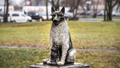 V Tallinu vztyili sochu poulinho psa. Kenec dokzal stmelovat etnick meniny