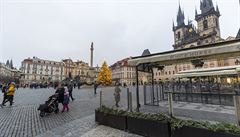 Podívanou na nejznámjí vánoní strom si nenechá kdekdo ujít i pes pandemická...