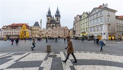 I pes omezení se na nejznámjí strom v esku pichází podívat spousta lidí.