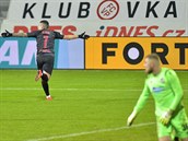Utkání 14. kola první fotbalové ligy: Viktoria Plze - Slavia Praha, 23....