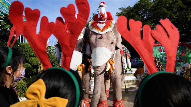 Mahouts dress elephants as Santa Claus to help distribute face masks to...