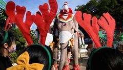 Mahouts dress elephants as Santa Claus to help distribute face masks to...