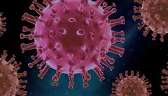 Zmutovan koronavirus z Britnie jsme zatm v esku nenali, uvd nrodn laborato. Dal mutace ale ano