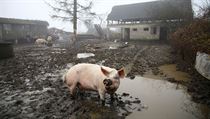 Posti�en� oblast asi 50 kilometr� jihov�chodn� od Z�h�ebu se chv�je u� od...