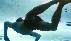Pod ledem Wim Hof uplaval 66 metr� a zapsal se tak do Guinessovy knihy rekord�.