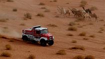 Aleš Loprais na Rallye Dakar.