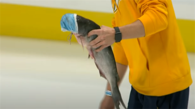 Sumec p�istál na led�