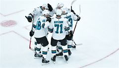 Stran jsem si to uil, ale je to pod jen zatek, vzkazuje Hertl po skvlm comebacku do NHL