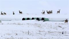Keystone XL m�l v délce tém�� 2000 kilometr� p�ivád�t ropu ze západní Kanady do...