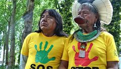 Původní obyvatelé a neziskovky žalují v Haagu brazilského prezidenta. V Amazonii prý páchá ‚ekocidu‘