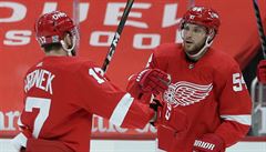 Bobby Ryan slaví s �eským obráncem Filipem Hronkem.