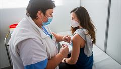 Zdravotníci zatím aplikovali v Česku 222 450 dávek vakcíny, většina byla od Pfizeru
