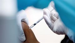 První vakcíny od firmy AstraZeneca mají dorazit 8. února. Je to dříve, než Blatný odhadoval