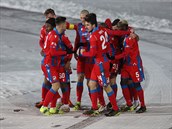 Utkání 17. kola první fotbalové ligy: FC Baník Ostrava  FC Victoria Plze, 31....