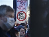 Úastníci demonstrace Iniciativy Chcípl PES proti vládním opatením, 31. ledna...